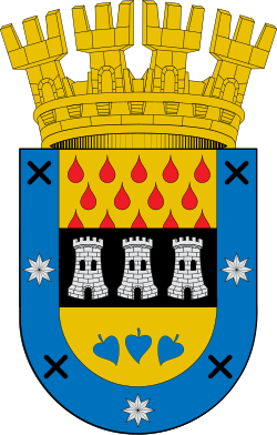 Escudo de Chillán