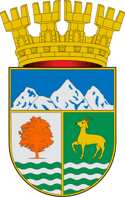 Escudo de Coihaique