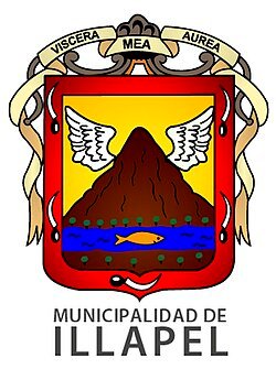 Escudo de Illapel