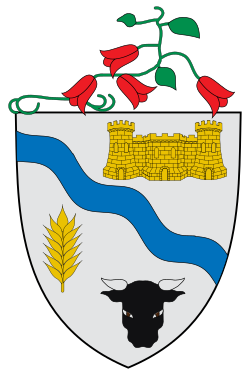 Escudo de Río Bueno