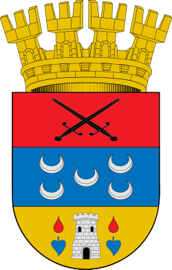 Escudo de San Carlos