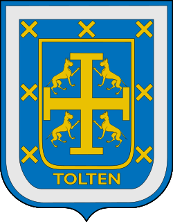 Escudo de Toltén