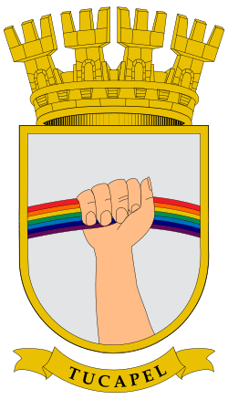 Escudo de Tucapel